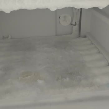 I Face Ongoing Rust and Frost Issues on Vestfrost Deep Freezer