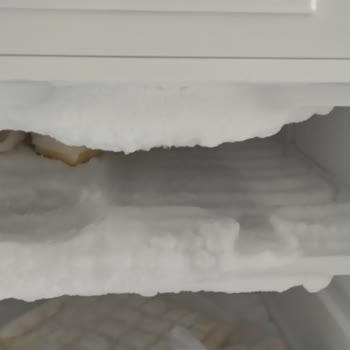 I Face Ongoing Rust and Frost Issues on Vestfrost Deep Freezer