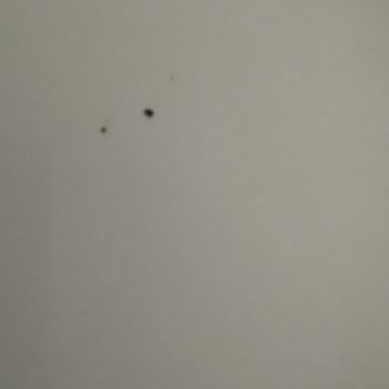 I Face Ongoing Rust and Frost Issues on Vestfrost Deep Freezer