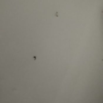 I Face Ongoing Rust and Frost Issues on Vestfrost Deep Freezer