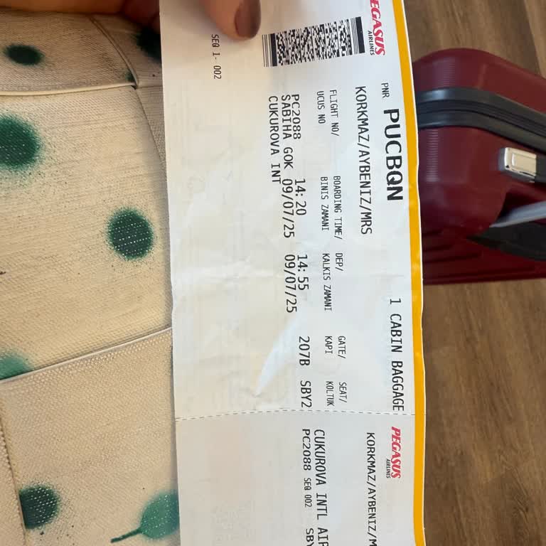 Pegasus'ta Bilet Satışı Ve Bagaj Uygulamalarında Mağduriyet