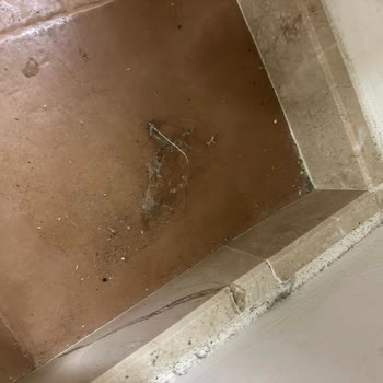 Hijyen Sorunları Ve Ekstra Ücret Talepleri Nedeniyle Tatil Hayal Kırıklığına Uğradı