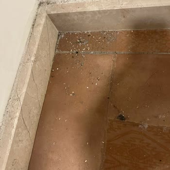 Hijyen Sorunları Ve Ekstra Ücret Talepleri Nedeniyle Tatil Hayal Kırıklığına Uğradı