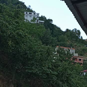 Filli Boya Dış Cephe Boyası Renk Sorunu Ve Mağduriyet