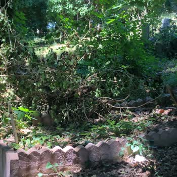 Boyalık Köyü Mezarlığında Temizlik Sorunu Ve İlgisizlik