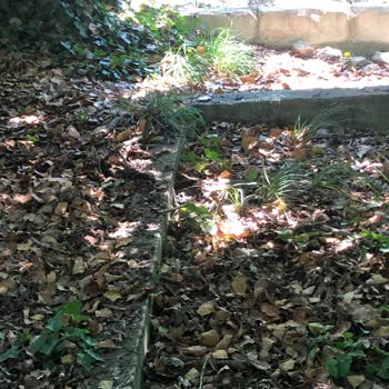 Boyalık Köyü Mezarlığında Temizlik Sorunu Ve İlgisizlik