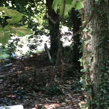 Boyalık Köyü Mezarlığında Temizlik Sorunu Ve İlgisizlik