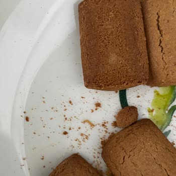 Bebek Bisküvisinden Kurt Çıkmasıyla Yaşadığım Şok Ve Endişe