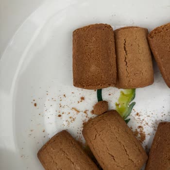 Bebek Bisküvisinden Kurt Çıkmasıyla Yaşadığım Şok Ve Endişe