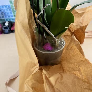 Siparişim Eksik Ve Hasarlı Teslim Edildi, Sorunum Çözülmedi