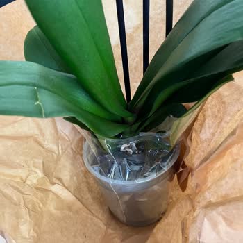 Siparişim Eksik Ve Hasarlı Teslim Edildi, Sorunum Çözülmedi