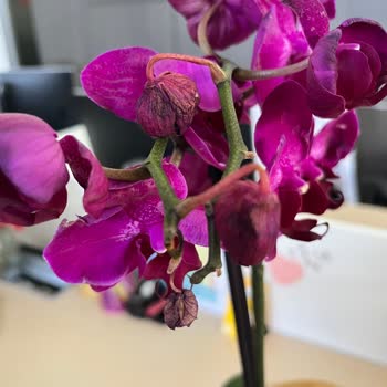 Siparişim Eksik Ve Hasarlı Teslim Edildi, Sorunum Çözülmedi