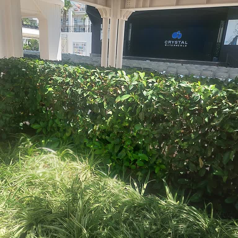 Hijyen Sorunları Ve İletişim Eksikliği Nedeniyle Hayal Kırıklığı Yaratan Tatil Deneyimi