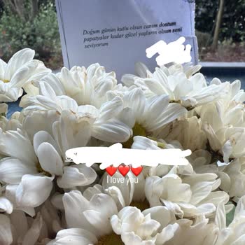 Gönderilen Çiçek Görselden Tamamen Farklı Ve Solmuş Geldi