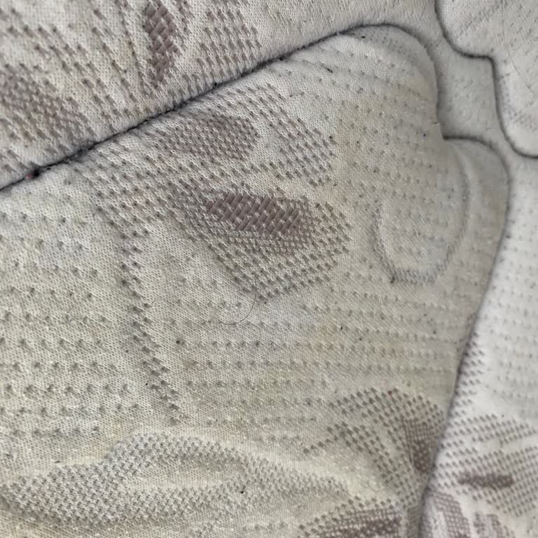 Koltuk Ve Yatak Yıkama Hizmeti Yetersiz, Şikayet Sonrası Engellendim