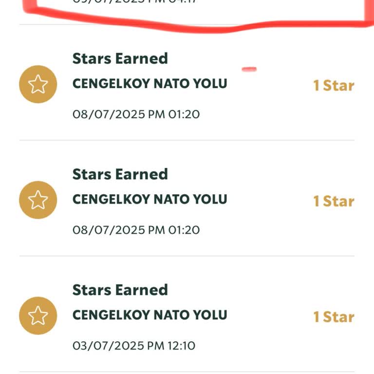 Starbucks Kendi Bardağımla Yıldız Kazanamadım, Uyarılarım Dikkate Alınmadı