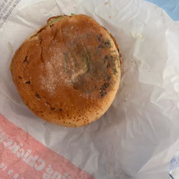 Yanlış Sipariş Ve Küflü Ekmek Gönderimi Sonrası İletişim Sorunu