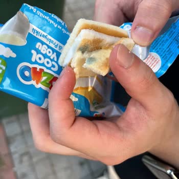 Aldığım Tüm Ozmo Paketleri Küflü Çıktı Fiş Alamadım