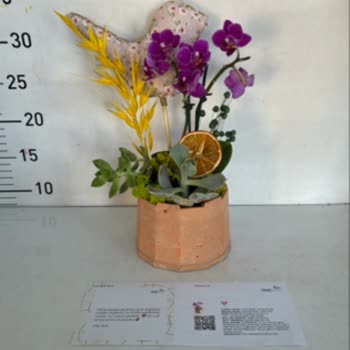 Seçtiğim Çiçekle Teslim Edilen Çiçek Arasında Büyük Fark Var