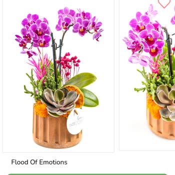 Seçtiğim Çiçekle Teslim Edilen Çiçek Arasında Büyük Fark Var