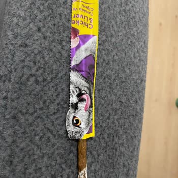 Aldığım Ürün Sürekli Küflü Çıkıyor, Markaya Güvenim Kalmadı