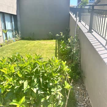 Peysaj Tamiri Sonrası Görsel Bozulma Ve İlgisizlik