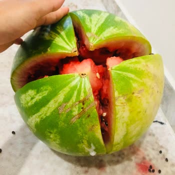 Bozuk Karpuzda Mağduriyet Ve İlgisiz Müşteri Hizmeti