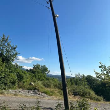 Tehlikeli Elektrik Direği İçin Acil Müdahale Bekliyorum