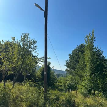 Tehlikeli Elektrik Direği İçin Acil Müdahale Bekliyorum