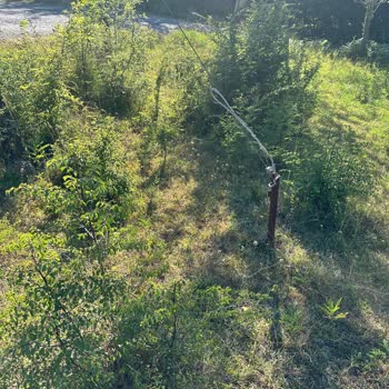 Tehlikeli Elektrik Direği İçin Acil Müdahale Bekliyorum