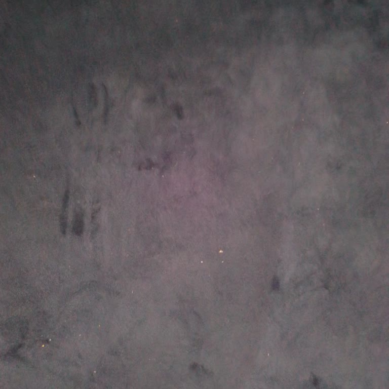 Koltuk Renk Değişiminde Mağduriyet Ve Ekstra Maliyet