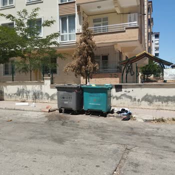 Eki aç