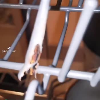 Samsung Bulaşık Makinesi Sepet Çürümesi