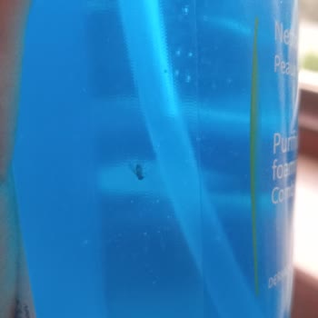 Kozmetik Ürününün İçinden Sinek Çıktı!