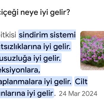 DemirDöküm Tencere Yapışma Sorunu Ve Yetersiz Müşteri Hizmeti
