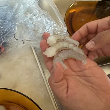 Temizlenmemiş Karides Nedeniyle Zor Anlar Yaşadım