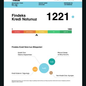 Findeks Kapanan Borca Rağmen Risk Puanım Neden Hesaplandı, Açıklama Ve Çözüm Bekliyorum