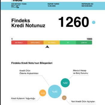 Findeks Kapanan Borca Rağmen Risk Puanım Neden Hesaplandı, Açıklama Ve Çözüm Bekliyorum