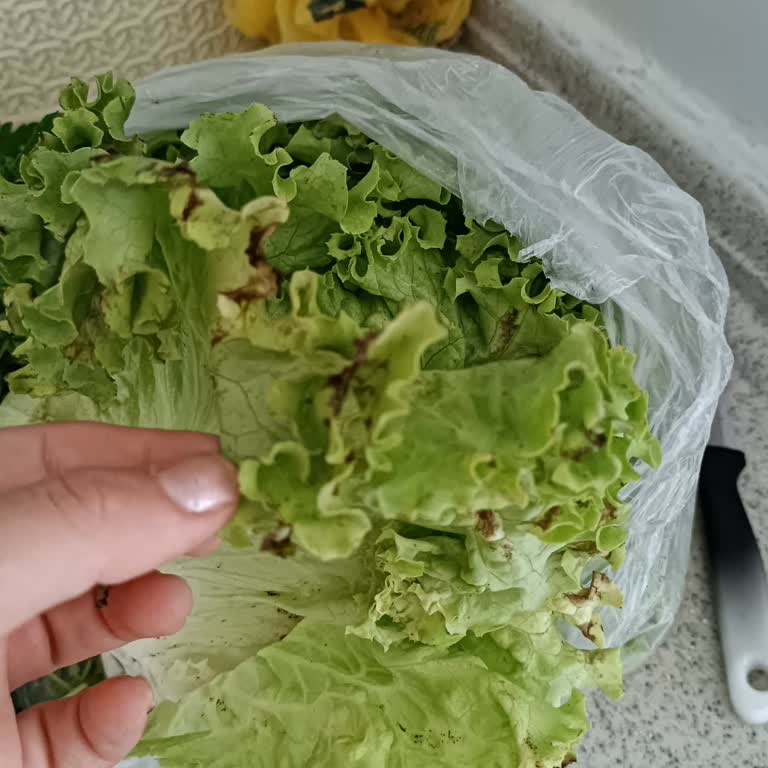 Online Siparişte Gelen Sebze Ve Meyveler Bayat Ve Kalitesizdi