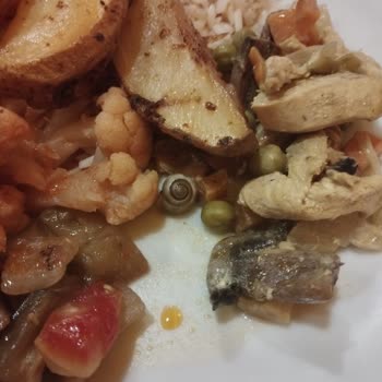 Hijyen Sorunları Nedeniyle Tatilimiz Zehir Oldu