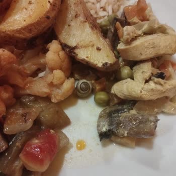 Hijyen Sorunları Nedeniyle Tatilimiz Zehir Oldu