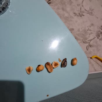 Çitlekçi'den Bayat Ve Kalitesiz Kuruyemiş Hayal Kırıklığı