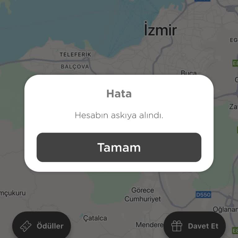 Martı Telegram Grubunda Eleştiri Nedeniyle Hesabım Askıya Alındı