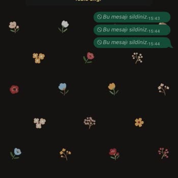 05076835729 Bilgilerimizi Alıyor