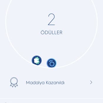 Uygulama Sorunu Nedeniyle Diş Fırçası Deneyimim Kötüleşti