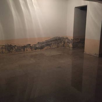 Apartman Sığınağında Sürekli Su Baskını: Melikgazi Belediyesi'nden Acil Ve Kalıcı Çözüm Bekliyoruz