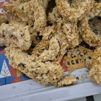 Dondurulmuş Soğan Halkası Erimiş Ve Ezilmiş Şekilde Teslim Edildi