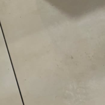 Marriott Ataşehir Palestra'da Hijyen Ve Temizlik Sorunları Giderilmiyor