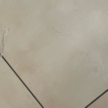 Marriott Ataşehir Palestra'da Hijyen Ve Temizlik Sorunları Giderilmiyor