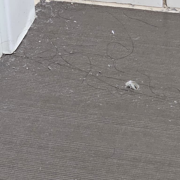 Otelin Temizlik Ve Konfor Standartlarında Ciddi Düşüş